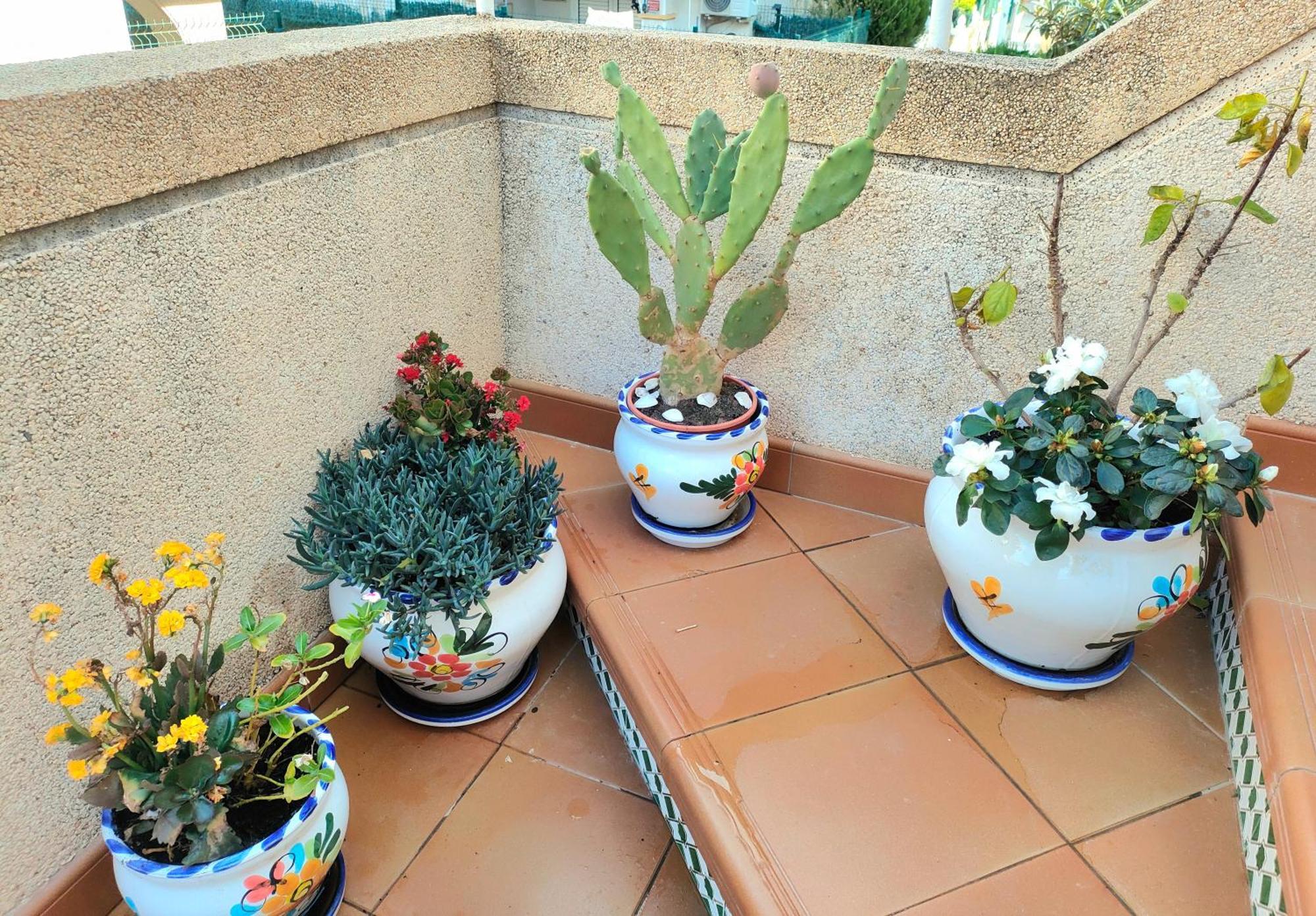 Apartamento Casa De Buenos Dias Torrevieja Exterior foto
